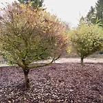 別荘 Nah Der Ostsee, 110qm Mit Eigenem Garten *