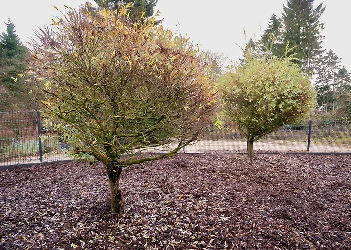 Vakantiehuis Nah Der Ostsee, 110qm Mit Eigenem Garten Scharbeutz